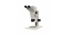 Z6 Zoom Stereo Microscope with Extended Eyetubes