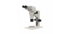 Z8 zoom stereo microscope with extended eyetubes